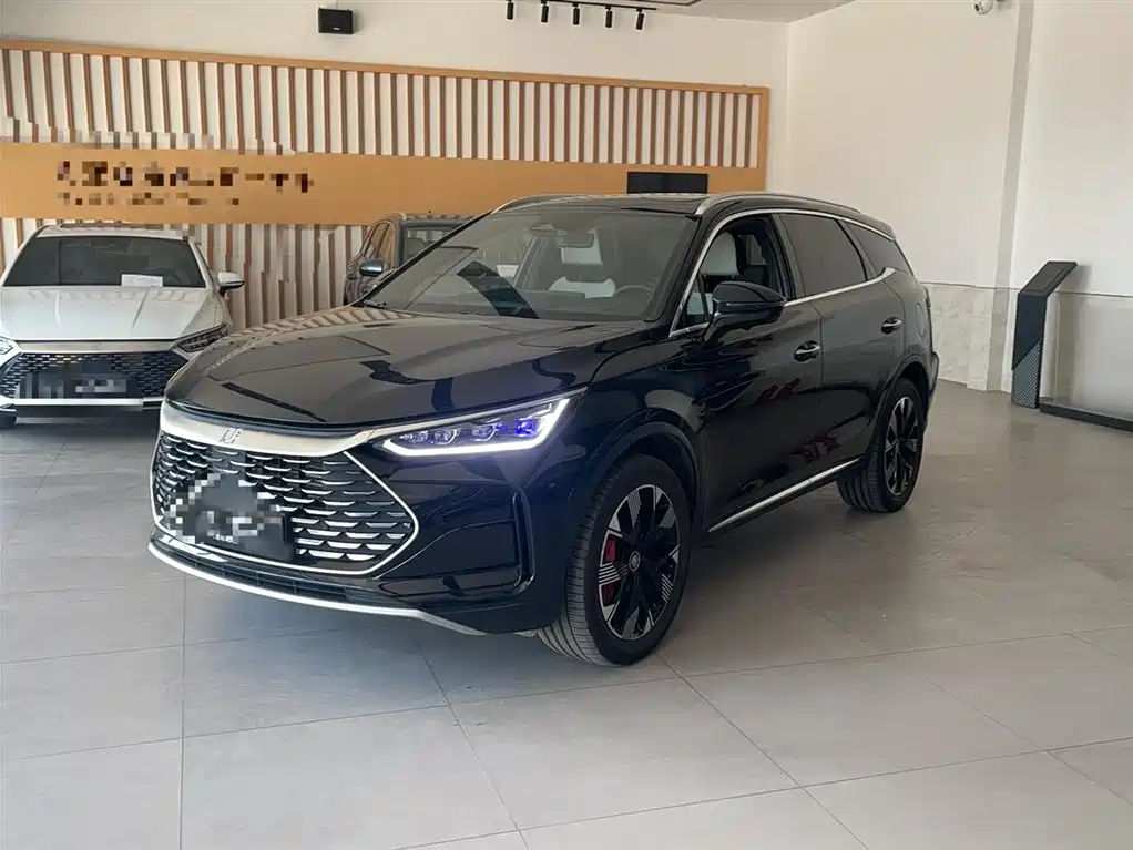 BYD TANG NEW ENERGY 2024