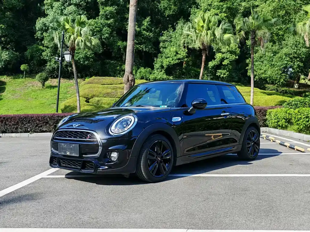 Аукционный лист MINI OTHER 2017