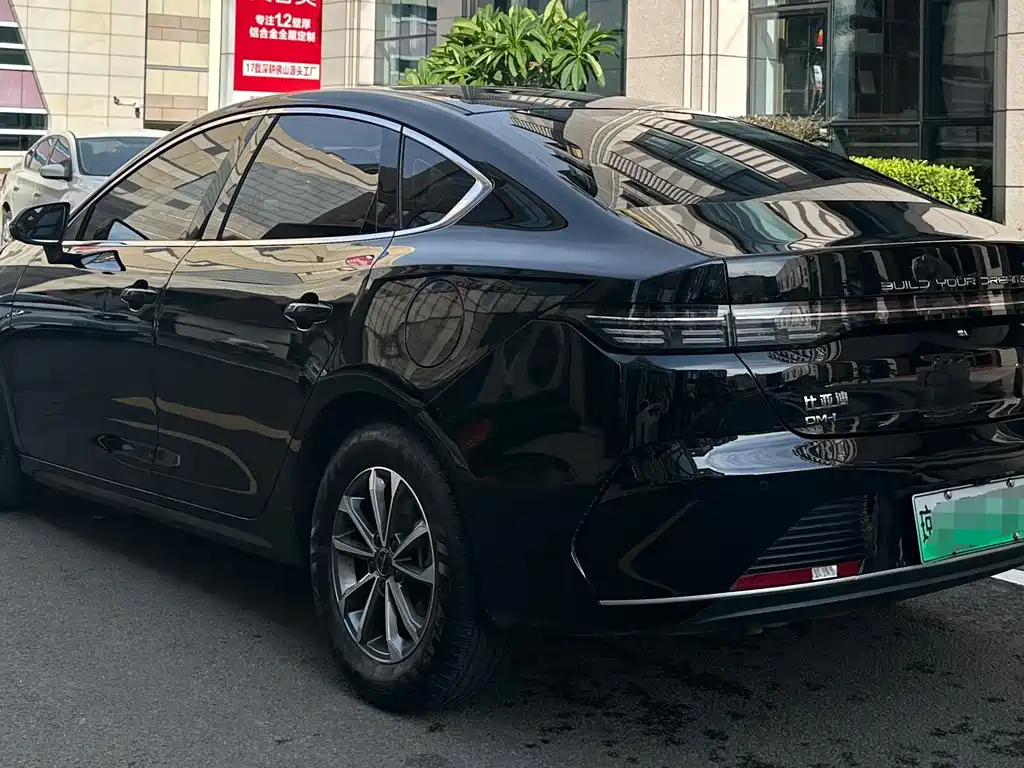BYD DESTROYER 05 2024