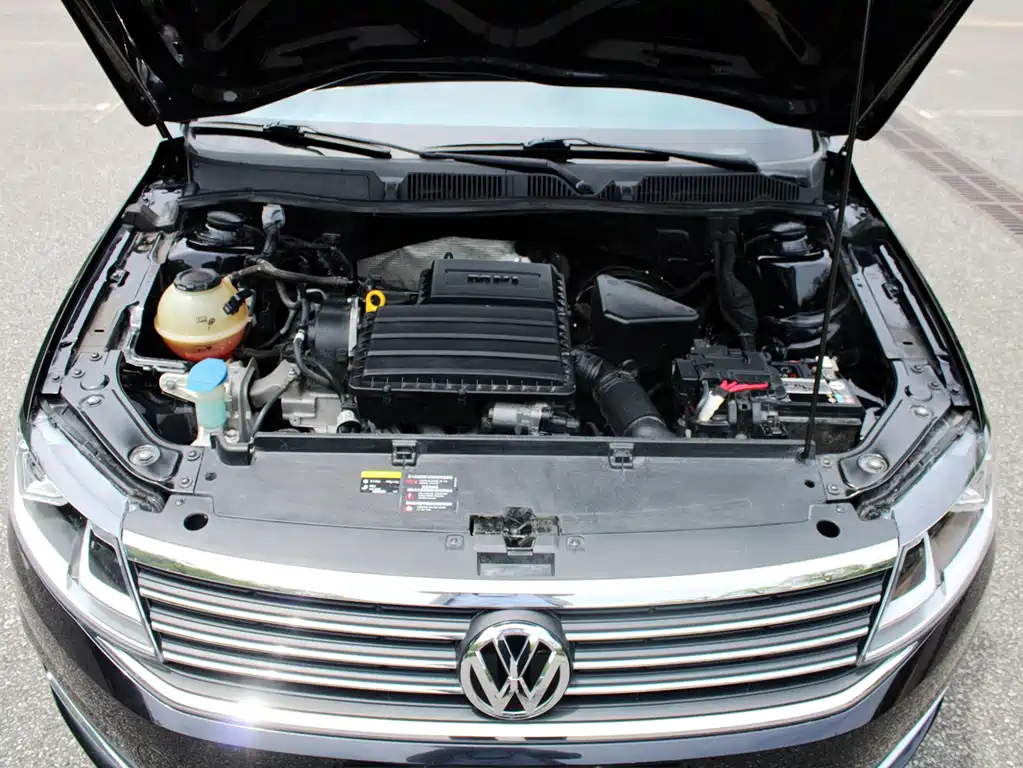 VOLKSWAGEN LAVIDA 2019