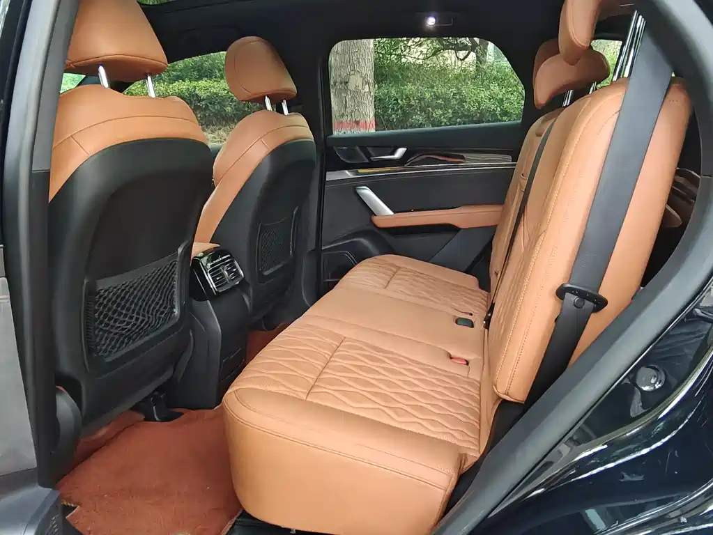 BYD TANG NEW ENERGY 2023