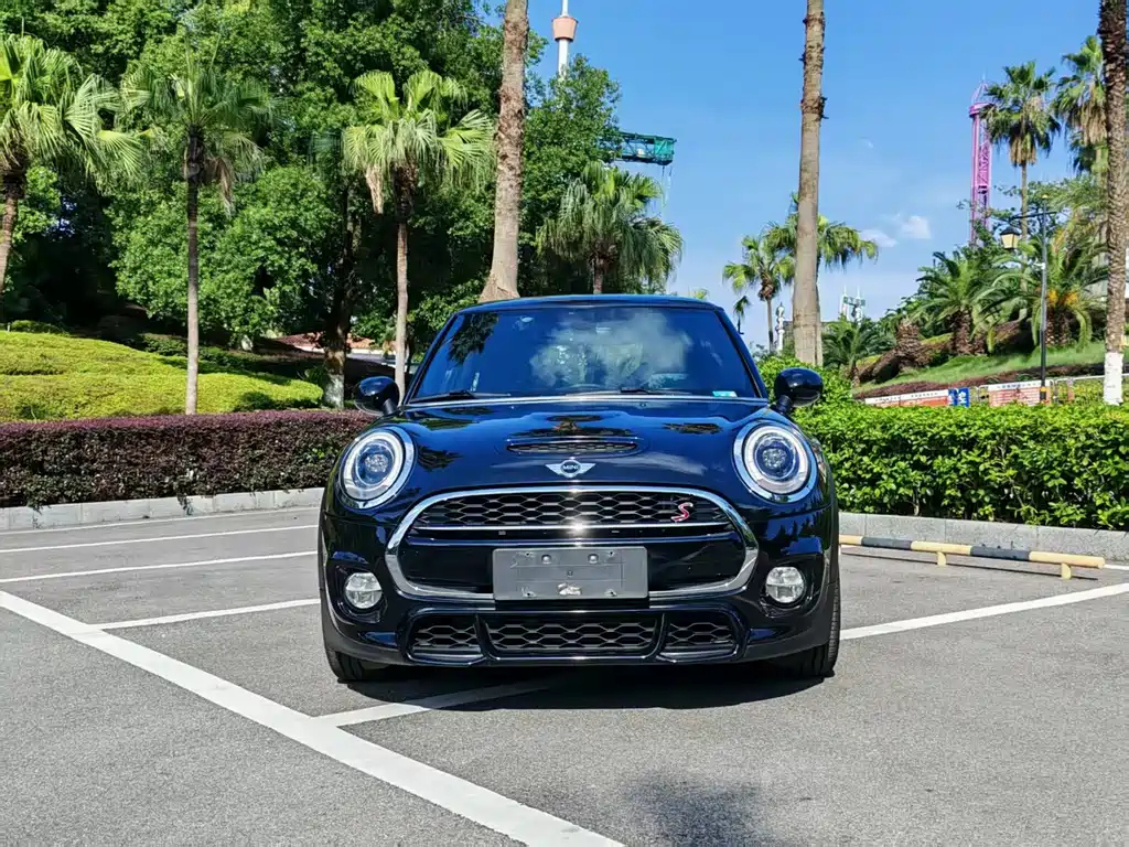 MINI OTHER 2017