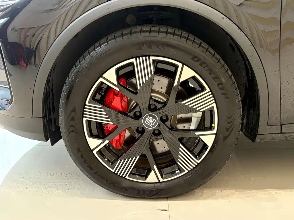 BYD TANG NEW ENERGY 2024