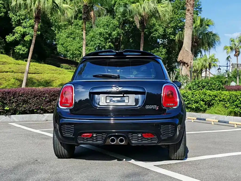 MINI OTHER 2017