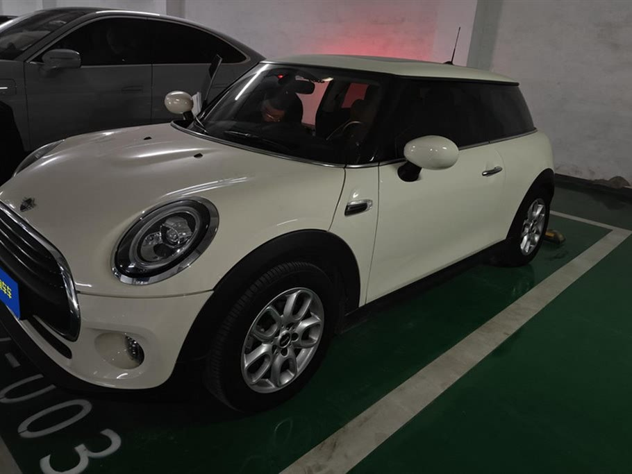 MINI OTHER 2021