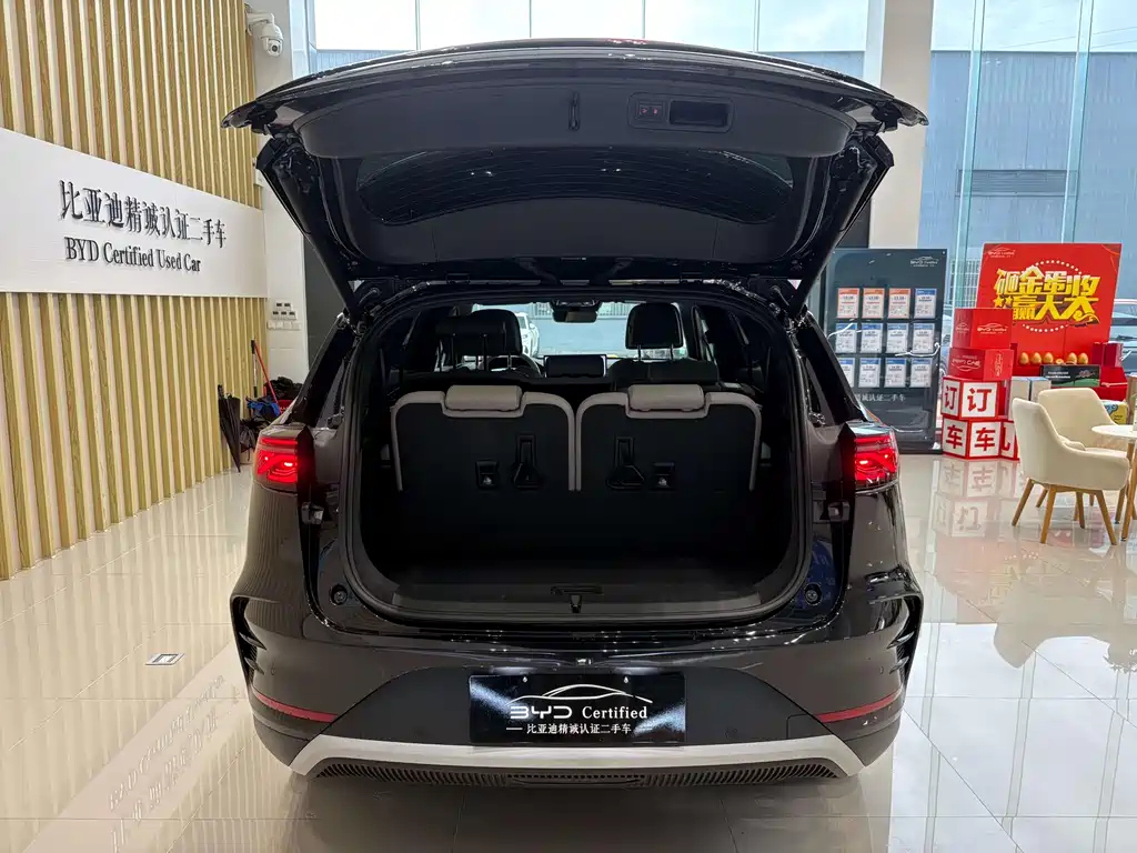 BYD TANG NEW ENERGY 2024