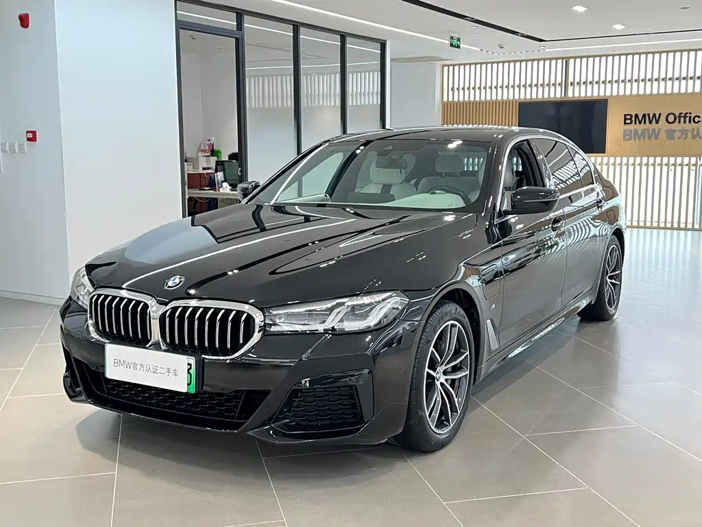 BMW 5-SERIES NEW ENERGY 2021