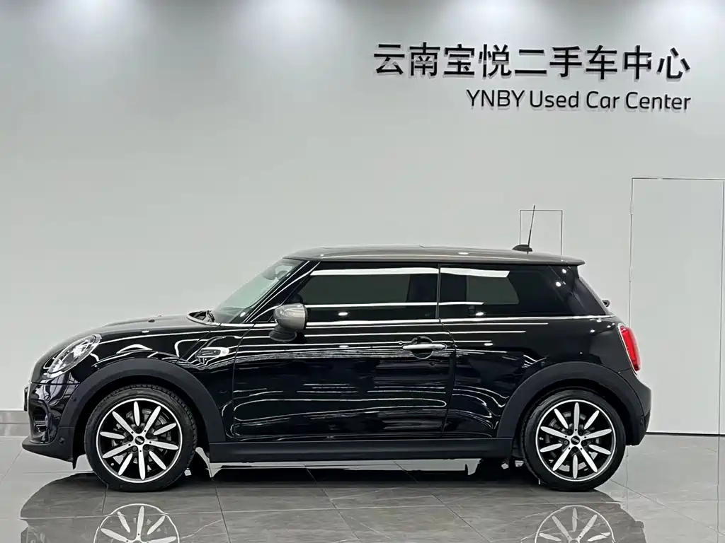 MINI OTHER 2021