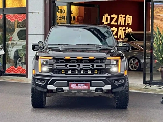 ford other