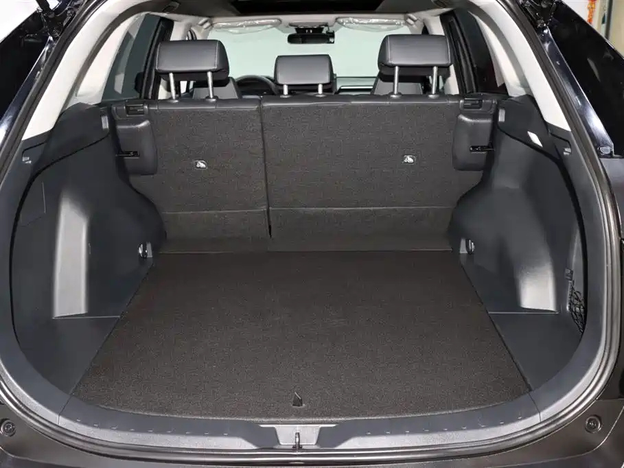 TOYOTA RAV4 RONGFANG 2023