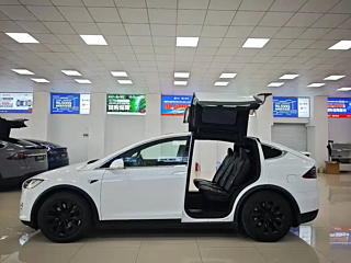 TESLA MODEL X  2019 YEAR  RANGE EDITION 2019