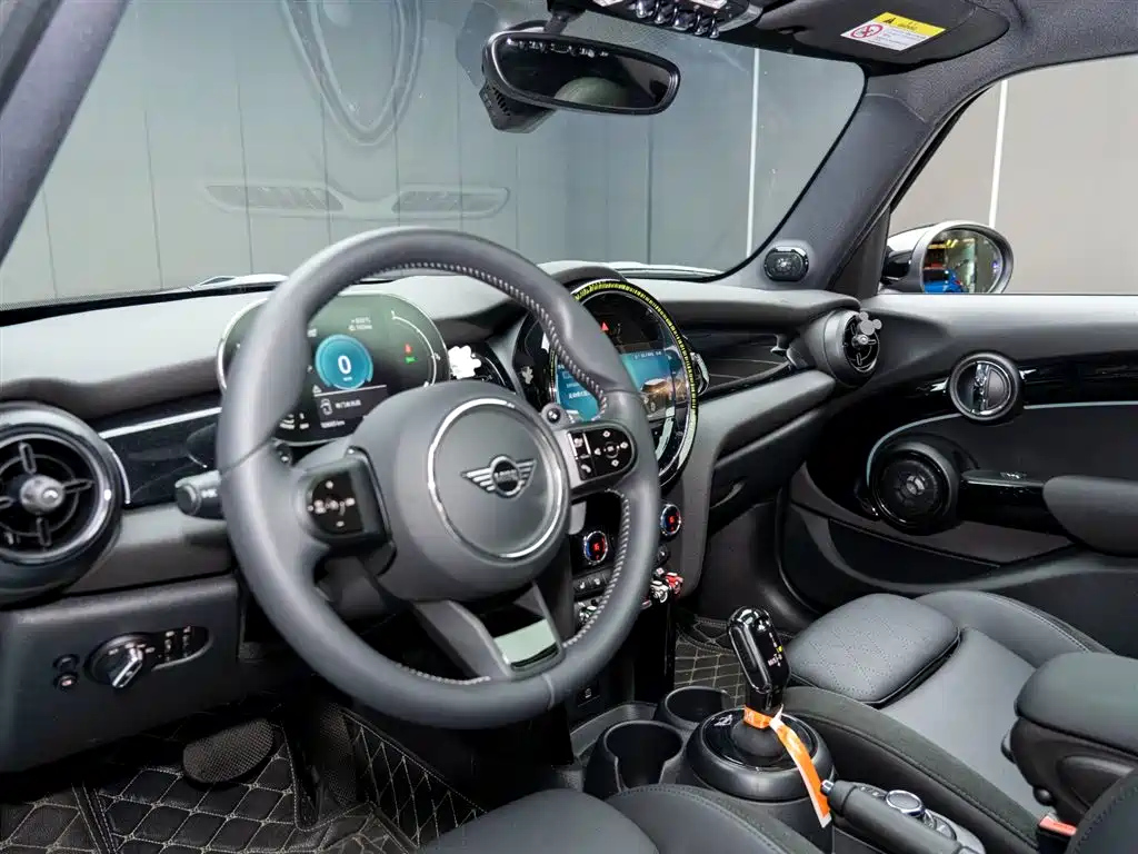 MINI OTHER 2023