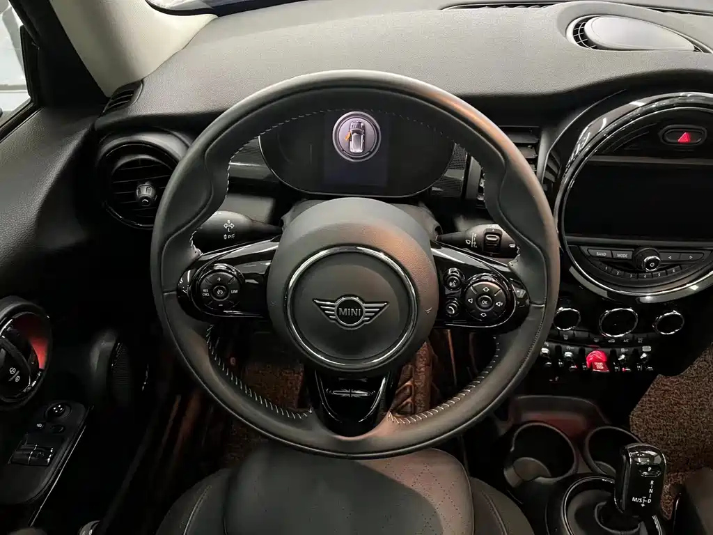 MINI OTHER 2021