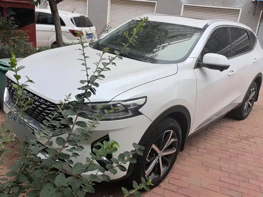 HAVAL F7 2020