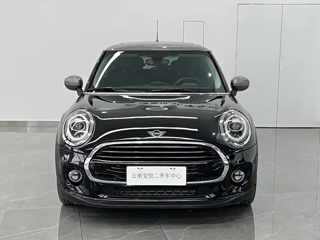 MINI OTHER 2021