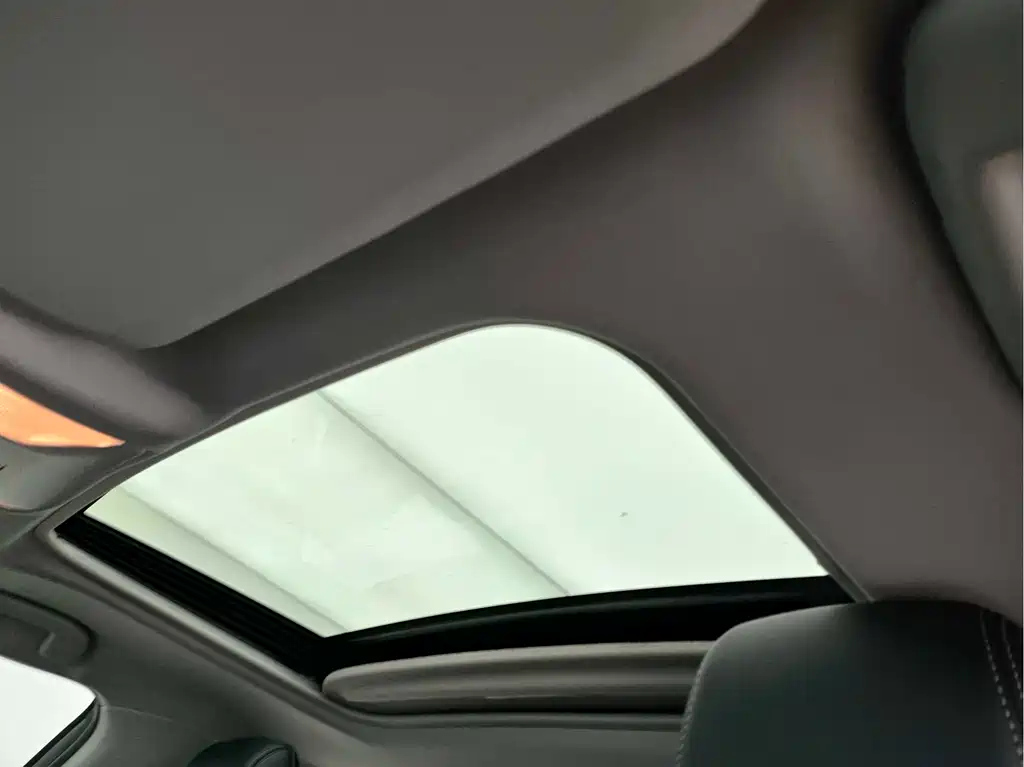 TOYOTA WILDLANDER 2021