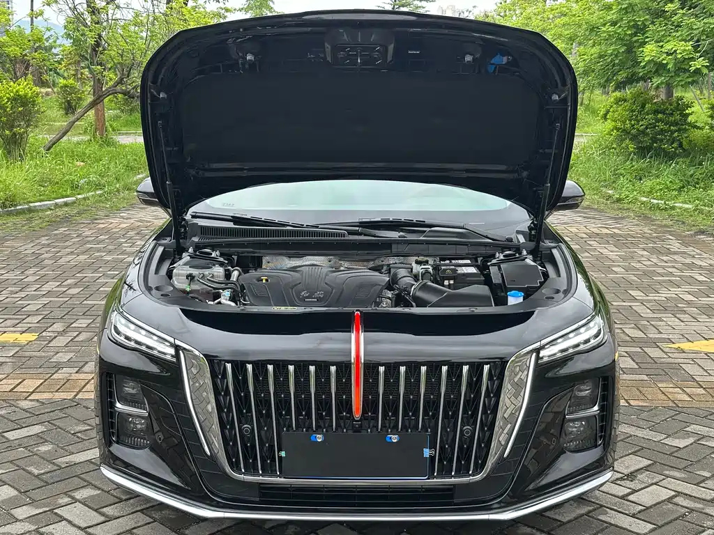 HONGQI H5 2024