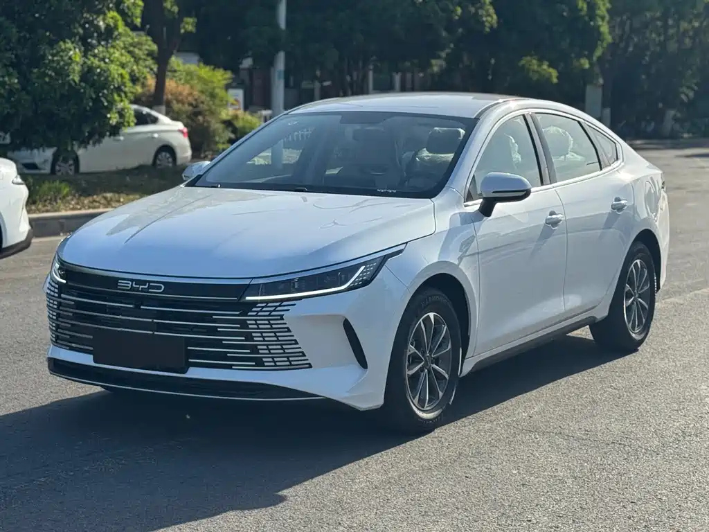 BYD DESTROYER 05 2024