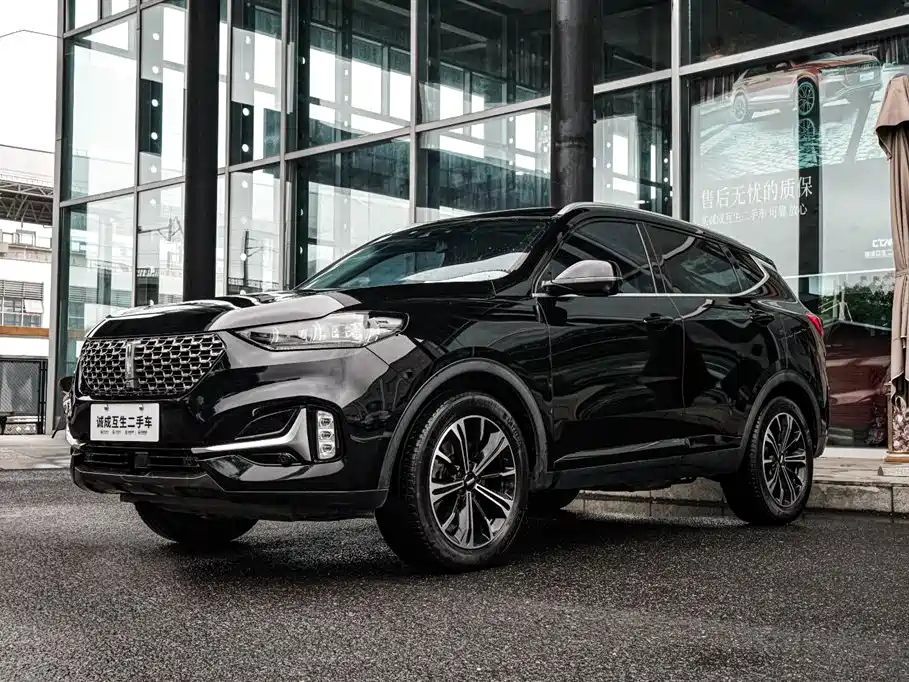 Аукционный лист WEY VV6 2021