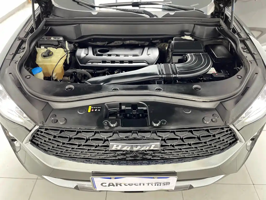 HAVAL F7X 2019