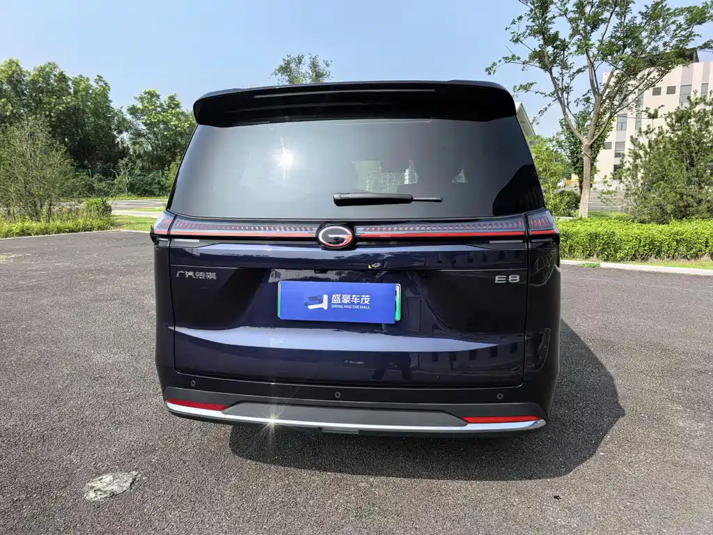 TRUMPCHI E8 NEW ENERGY 2024