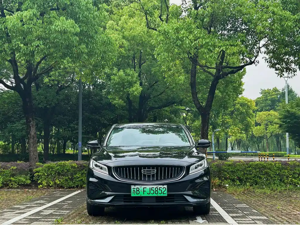 Аукционный лист GEELY AUTO BORUI NEW ENERGY 2022