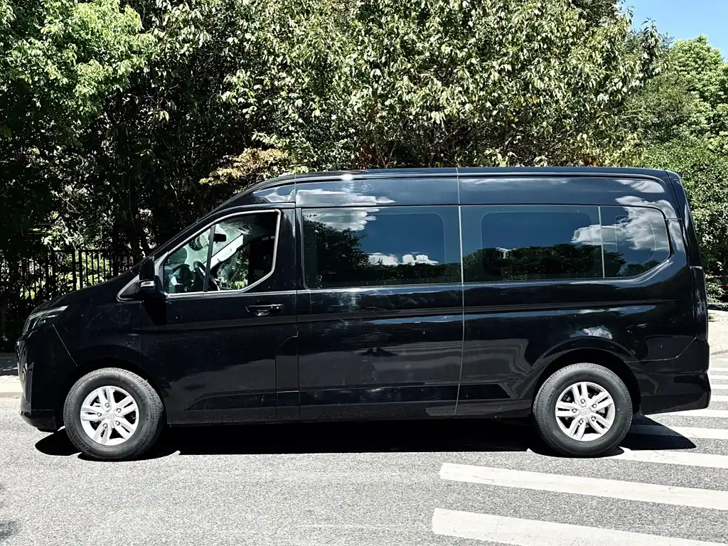 FOTON OTHER 2024