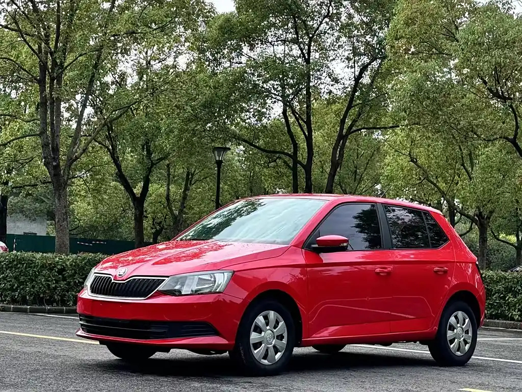 SKODA FASCIA 2015