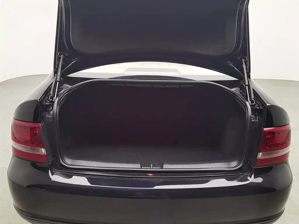 VOLKSWAGEN OTHER 2009