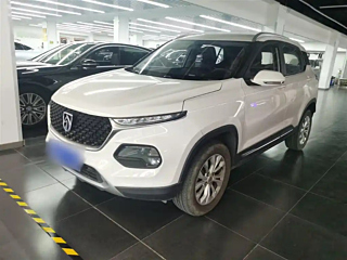 bao-jun 510