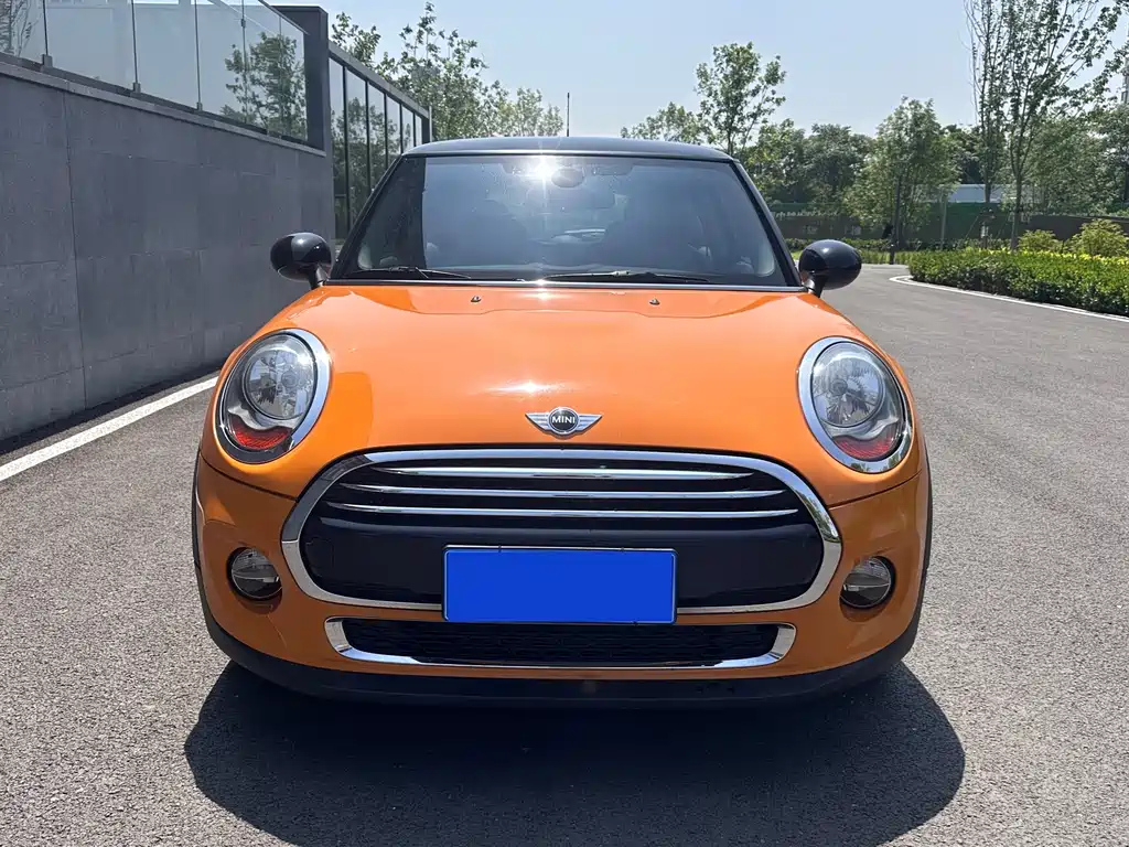 MINI OTHER 2015