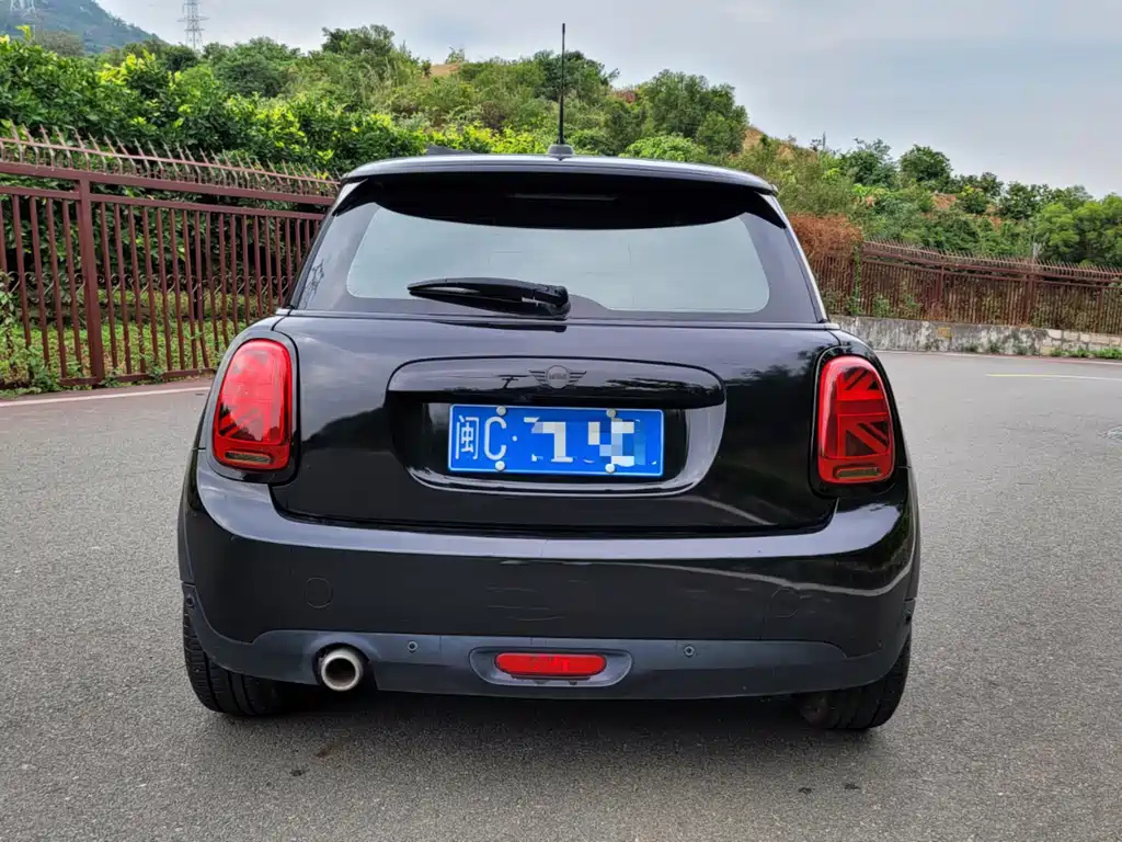 MINI OTHER 2021