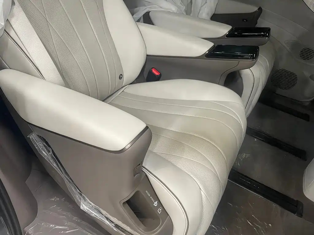 DENZA D9 2024