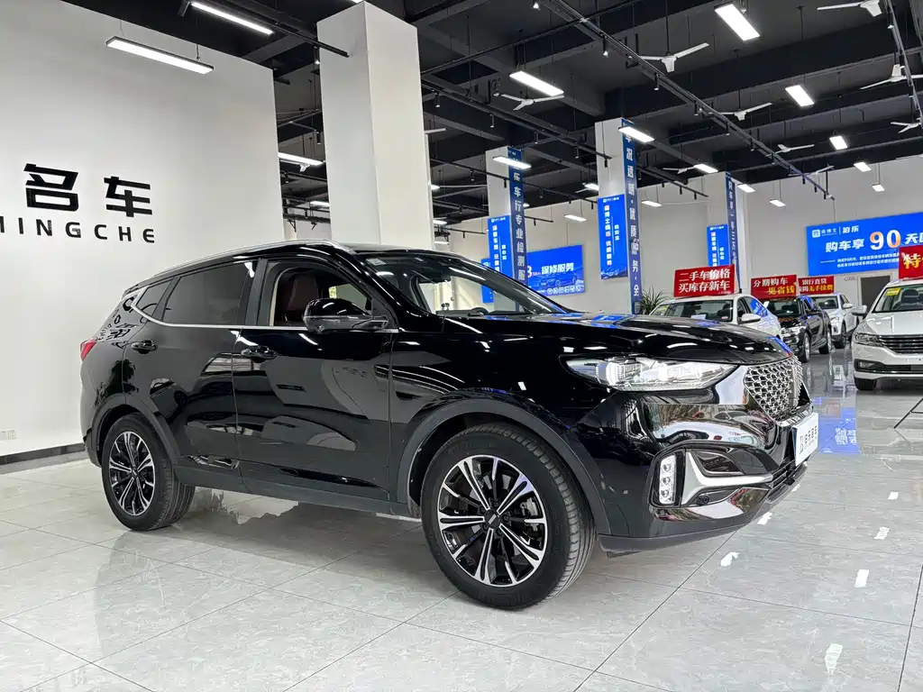 WEY VV6 2021