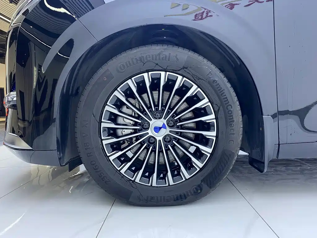 DENZA D9 2023