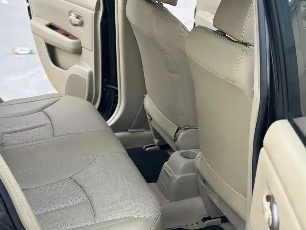 NISSAN OTHER 2010