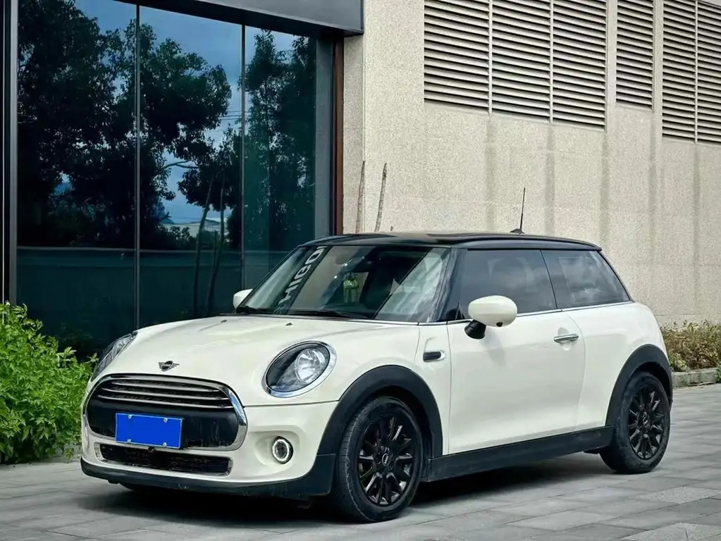 MINI OTHER 2020