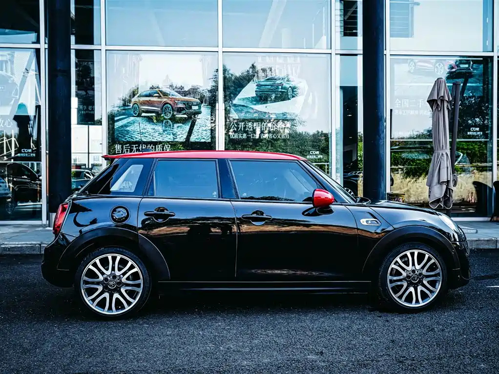 MINI OTHER 2019