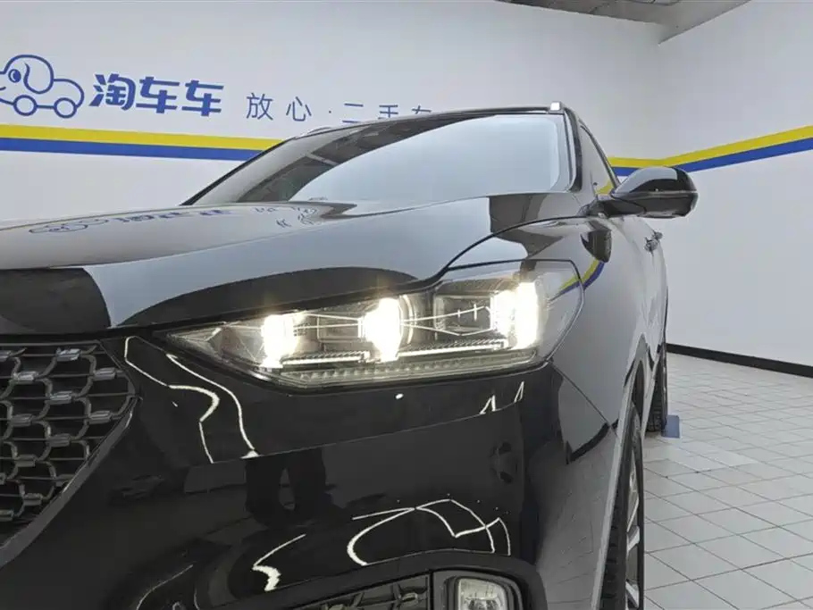 WEY VV6 2020