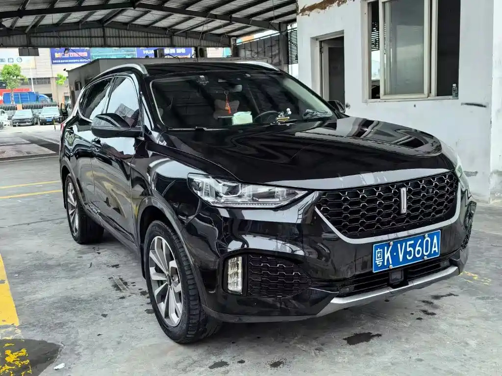 WEY VV6 2019