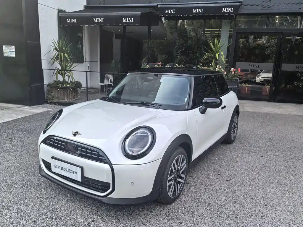 MINI OTHER 2025