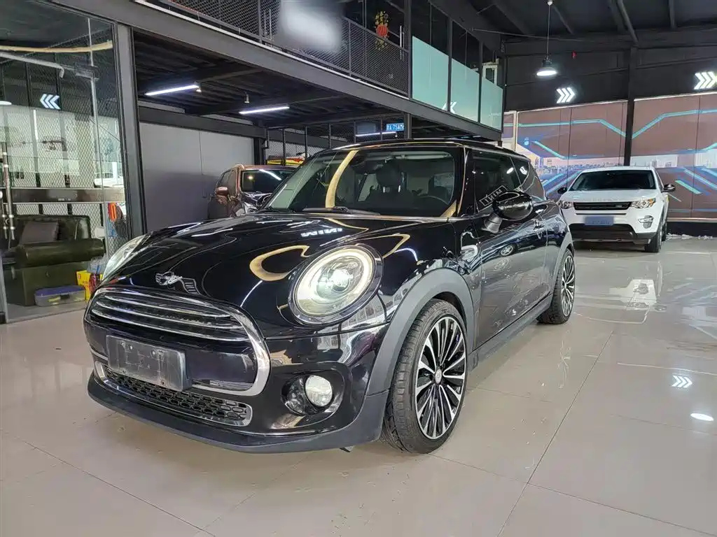 MINI OTHER 2016