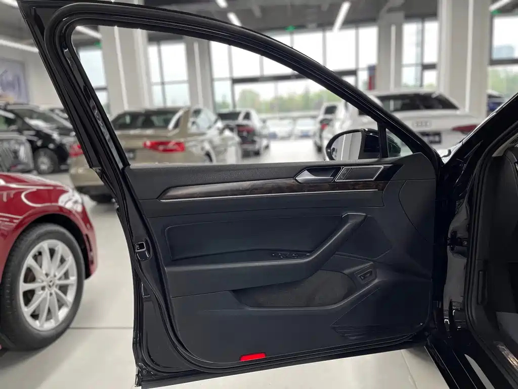 VOLKSWAGEN MAGOTAN 2020