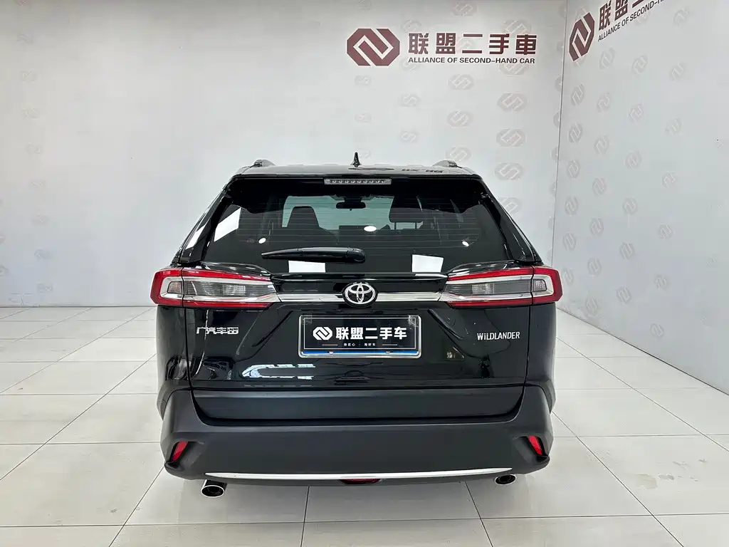 TOYOTA WILDLANDER 2020