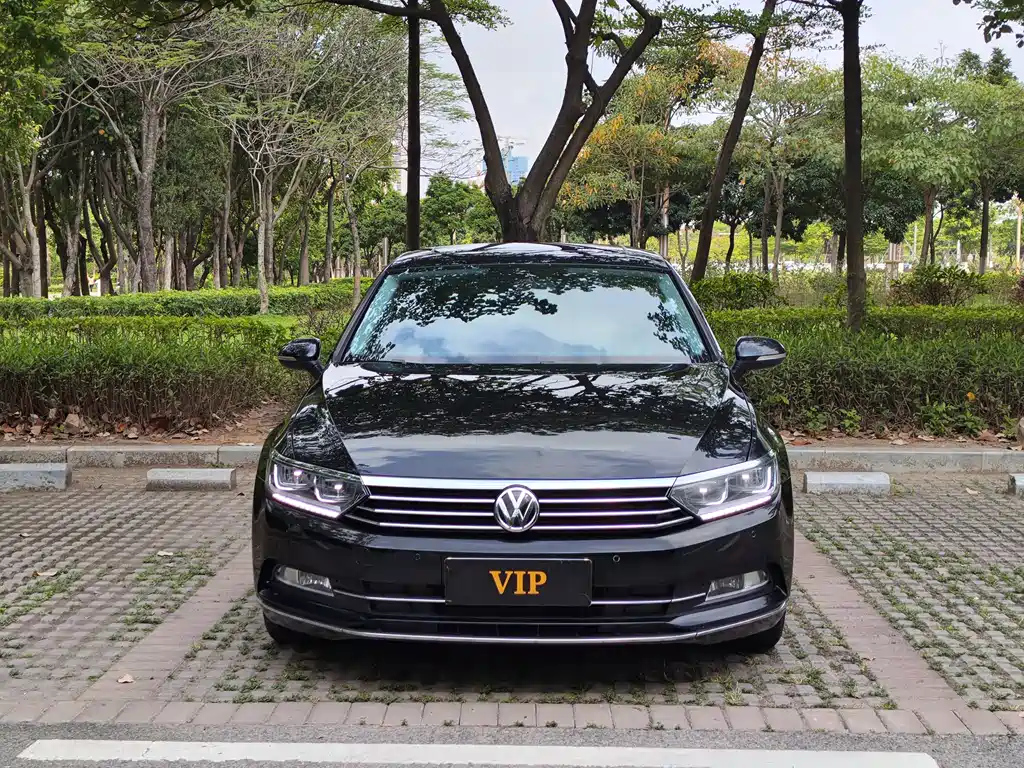 VOLKSWAGEN MAGOTAN 2019