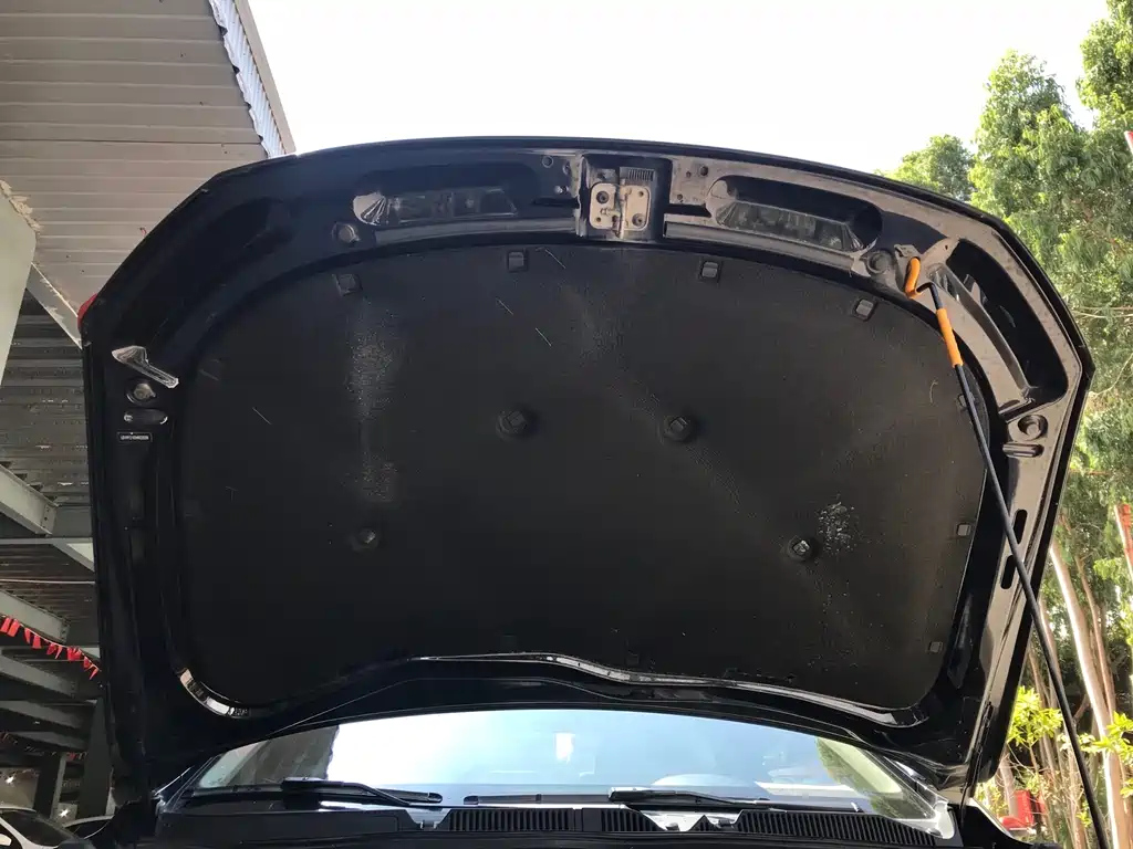 VOLKSWAGEN LAVIDA 2017