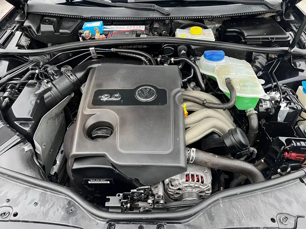 VOLKSWAGEN OTHER 2010