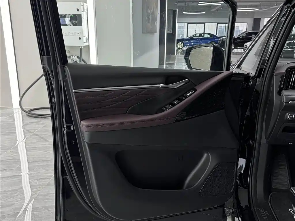 TRUMPCHI E9 2024