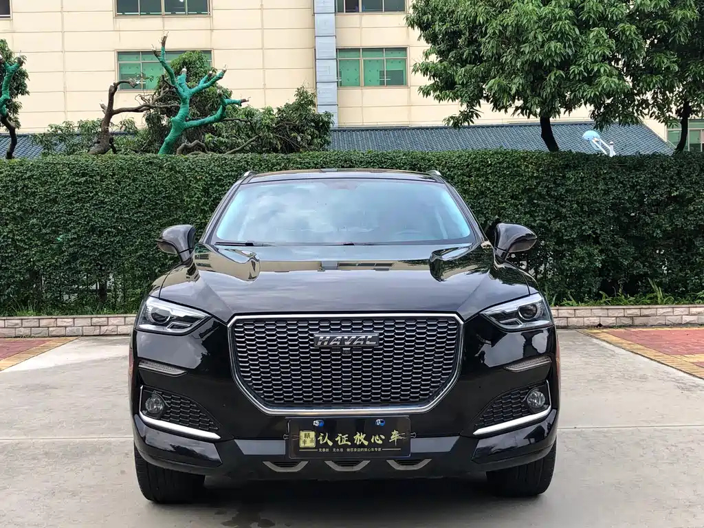 HAVAL F5 2019