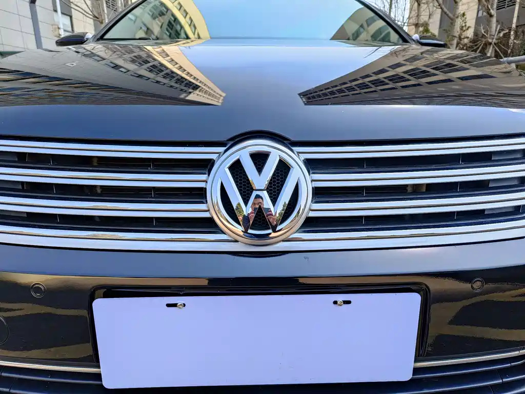 VOLKSWAGEN MAGOTAN 2014